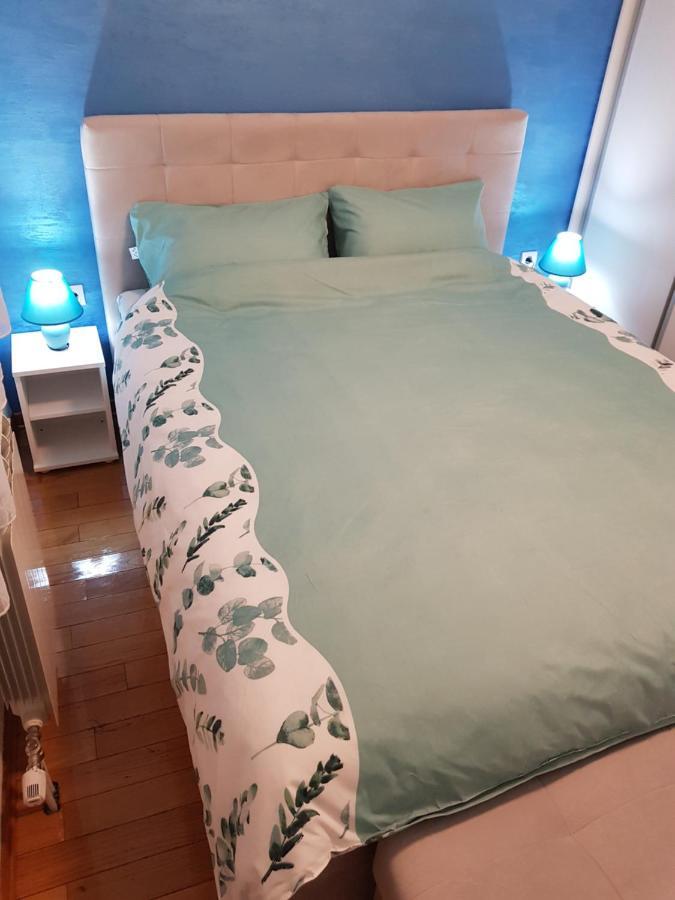 Apartman Kej Blue Free Parking Kraljevo Exterior foto